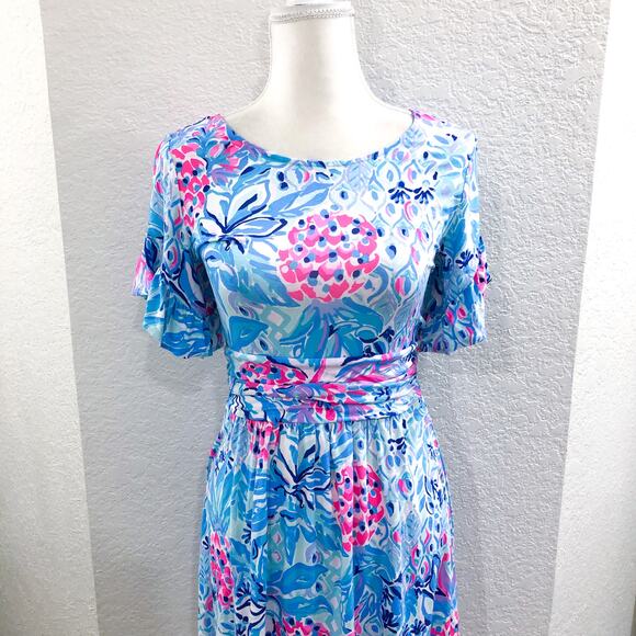 Lilly Pulitzer Riegan Zanzibar Blu Party Princess Dress - Picture 3 of 13